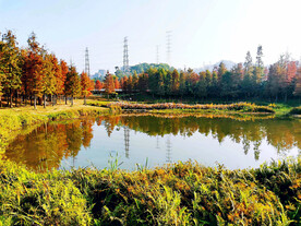 广州大观湿地公园