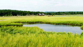 河北塞罕坝七星湖湿地