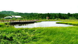 河北塞罕坝七星湖湿地