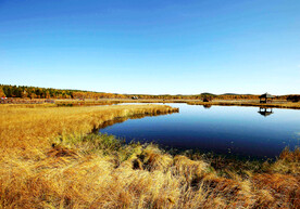 河北塞罕坝七星湖湿地