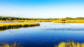 河北塞罕坝七星湖湿地