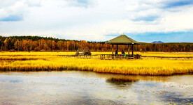 枫林谷和天桥沟秋天