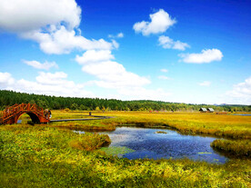 河北塞罕坝七星湖湿地