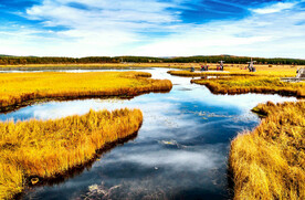 河北塞罕坝七星湖湿地