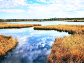 河北塞罕坝七星湖湿地