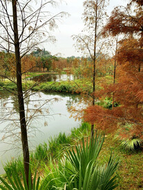 广州大观湿地公园