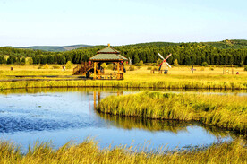 河北塞罕坝七星湖湿地