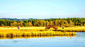 河北塞罕坝七星湖湿地