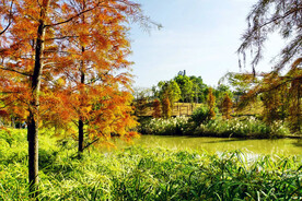 广州大观湿地公园