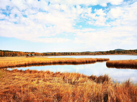 河北塞罕坝七星湖湿地