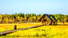 河北塞罕坝七星湖湿地