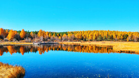 河北塞罕坝七星湖湿地