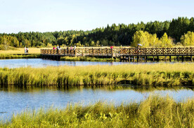 河北塞罕坝七星湖湿地