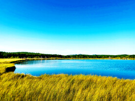 河北塞罕坝七星湖湿地