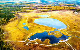 河北塞罕坝七星湖湿地