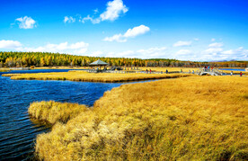 河北塞罕坝七星湖湿地
