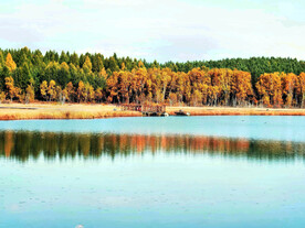 河北塞罕坝七星湖湿地