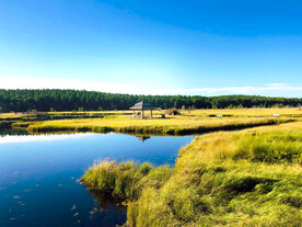 河北塞罕坝七星湖湿地