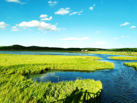 河北塞罕坝七星湖湿地