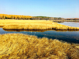 河北塞罕坝七星湖湿地