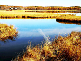 河北塞罕坝七星湖湿地
