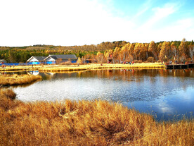 河北塞罕坝七星湖湿地
