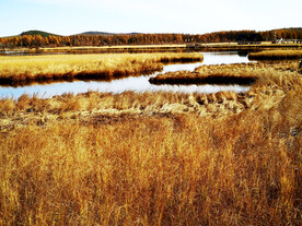 河北塞罕坝七星湖湿地