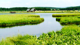 河北塞罕坝七星湖湿地