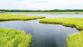 河北塞罕坝七星湖湿地