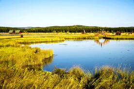 河北塞罕坝七星湖湿地