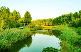 河南郑州龙湖湿地公园