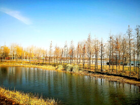 河南郑州龙湖湿地公园