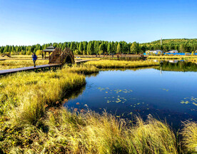 河北塞罕坝七星湖湿地