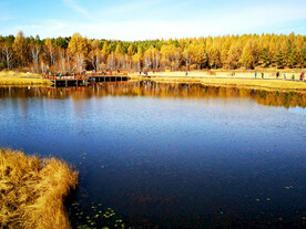 河北塞罕坝七星湖湿地