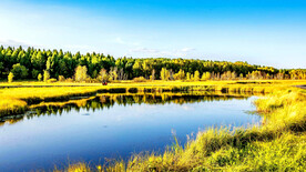 河北塞罕坝七星湖湿地