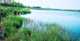河南郑州龙湖湿地公园
