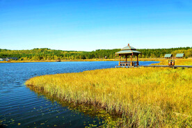 河北塞罕坝七星湖湿地