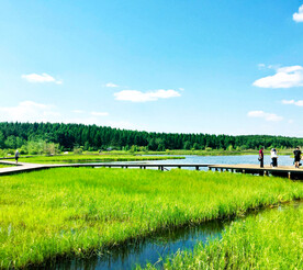 河北塞罕坝七星湖湿地