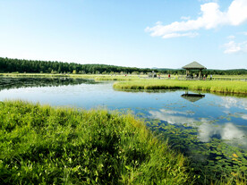 河北塞罕坝七星湖湿地