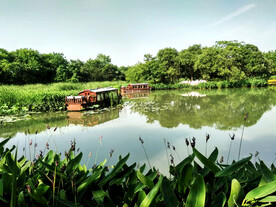 浙江杭州西溪湿地公园