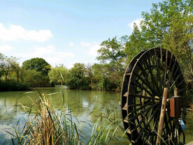 浙江杭州西溪湿地公园