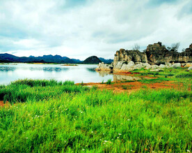 云南沾益海峰湿地