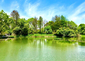 浙江杭州西溪湿地公园