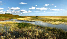 内蒙古二卡湿地公园