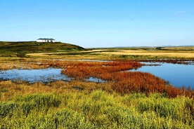 内蒙古二卡湿地公园