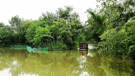 浙江杭州西溪湿地公园