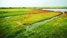 内蒙古二卡湿地公园