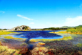 云南沾益海峰湿地