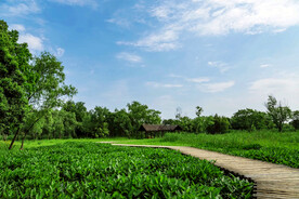 浙江杭州西溪湿地公园