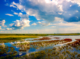 内蒙古二卡湿地公园